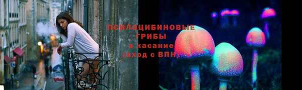 МДПВ Майский