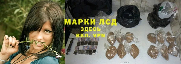 СК Медногорск