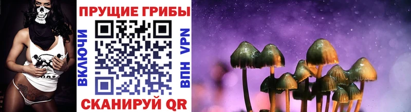 Галлюциногенные грибы Magic Shrooms закладка Окуловка